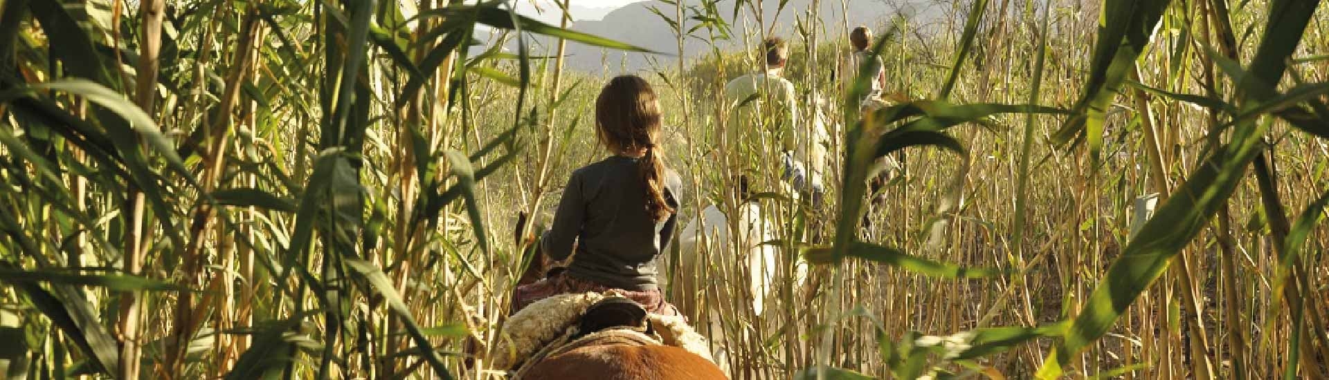 Turismo rural