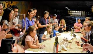 Ruta del Vino