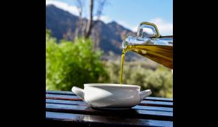 Olive Route