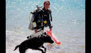 Buceo, apnea y snorkel