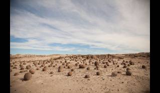 Parque Provincial Ischigualasto