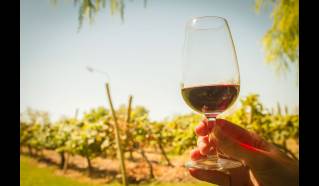 Wine Route
