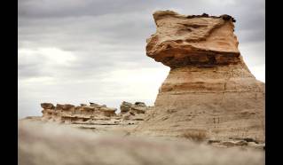 Ischigualasto - Triassic Park