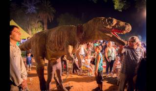 Fiestas y Festividades
