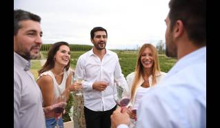 San Juan, Ruta del Vino