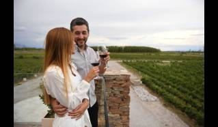 San Juan, Ruta del Vino