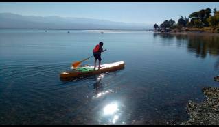 Stand up paddle
