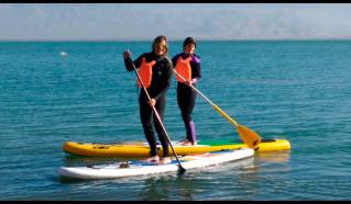 Stand up paddle