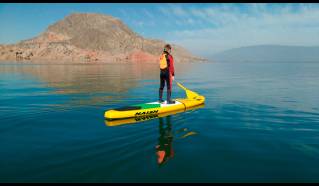 Stand up paddle