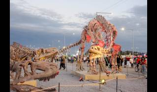 Fiesta Nacional del Sol