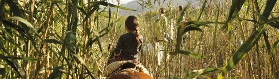 Turismo rural