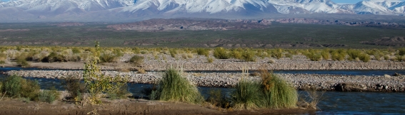 Los Patos River