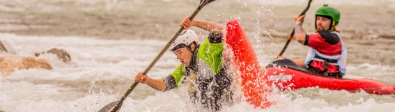 Kayak