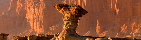 Ischigualasto - Parque triásico